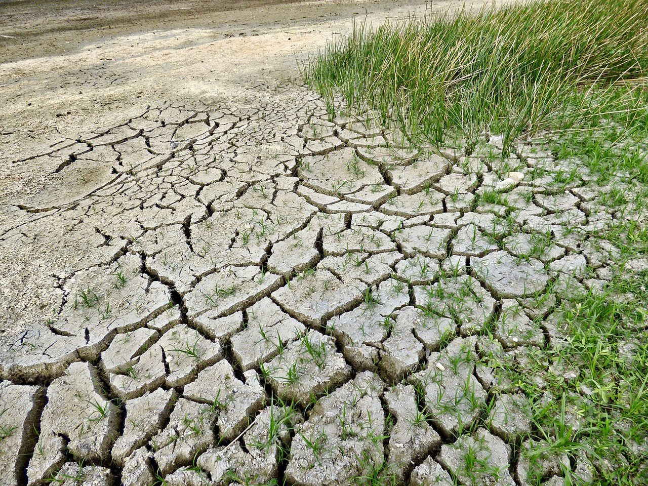 Grozi nam susza. Ostrzeżenia hydrologiczne nie pozostawiają złudzeń