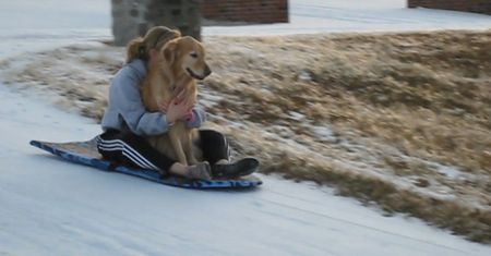 Pies na desce na śniegu. Zabawne nagranie z USA