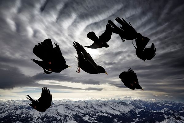 Znamy zwycięzców Travel Photographer of the Year 2015 16