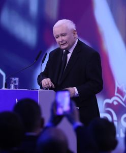 "Opozycyjne trutnie" i ubogie społeczeństwo. Poseł PO mówi o PiS