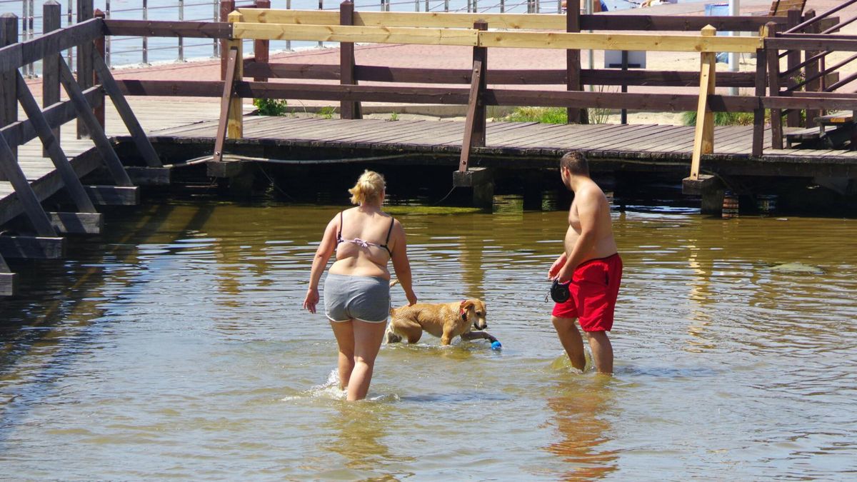 Prawie 30 osób z zatruciem po kąpieli w jeziorze. Hospitalizowane dzieci