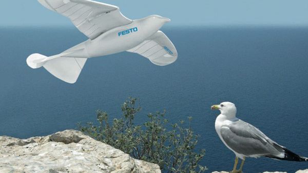 Robot, który lata jak ptak 1