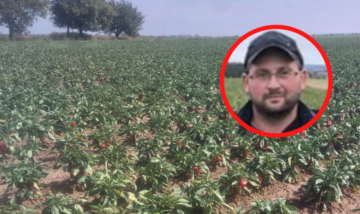 Rolnik oddaje za darmo. Ma aż 3 hektary. "Nie trzeba dzwonić"