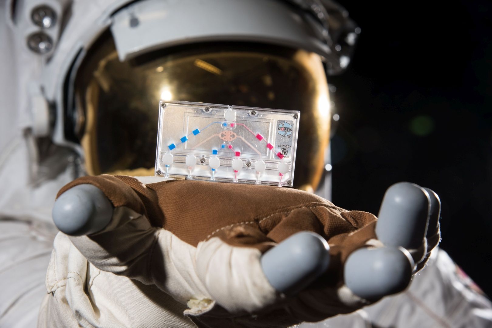 Tissue-on-chip