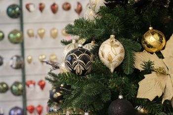 Bolewice: Spotkanie z Mikołajem, strojenie choinki i seans filmowy