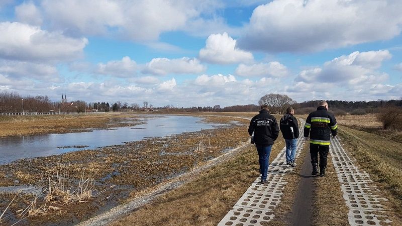 Strażacy wyłowili z Zalewu Zemborzyckiego martwe łabędzie | fot. KM PSP Lublin