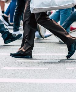 Fundusze Europejskie zmieniają Polskę. Tak uważa większość Polaków w ostatnim badaniu przeprowadzonym dla Wirtualnej Polski