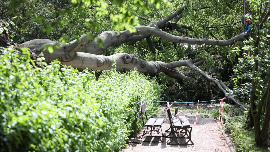 Zdjęcie ilustracyjne