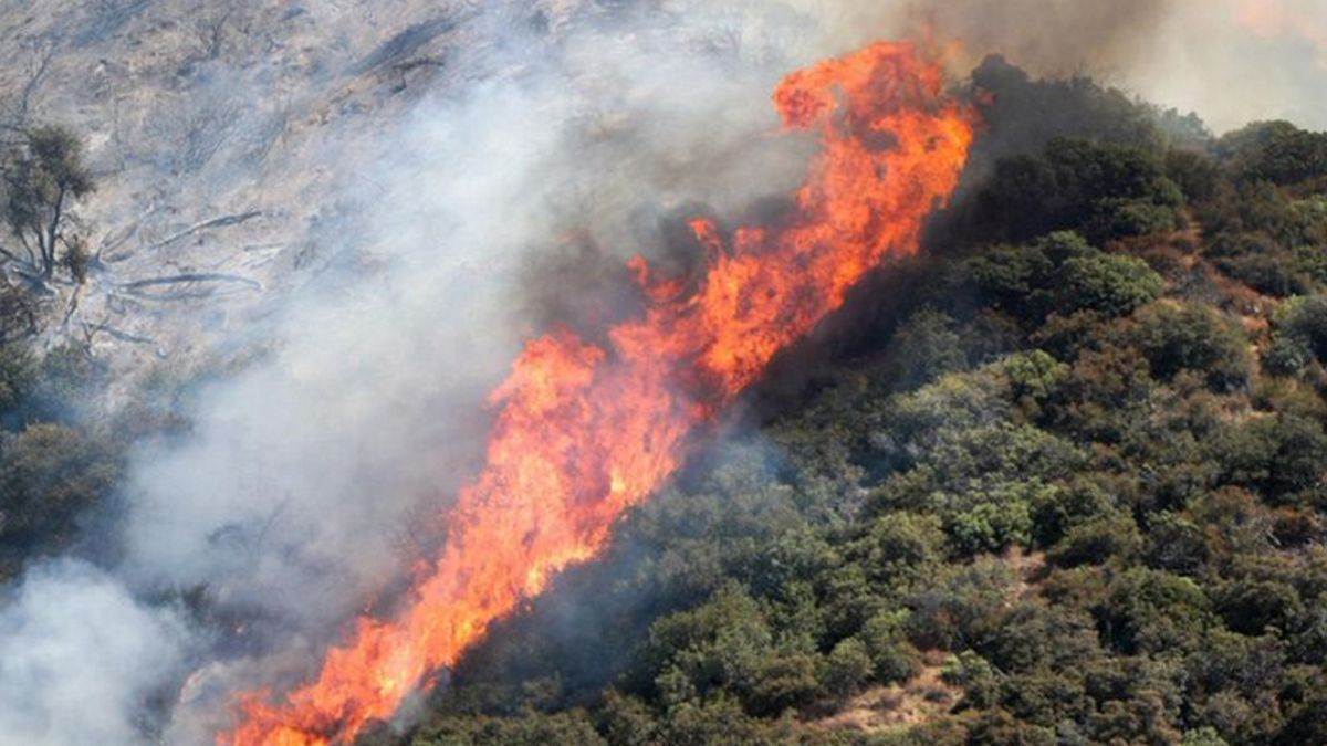 Pożar w Kalifornii.