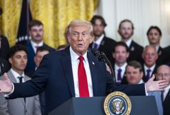 Holandia ogranicza współpracę z USA. Powód: rządy Donalda Trumpa