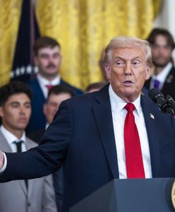 Holandia ogranicza współpracę z USA. Powód: rządy Donalda Trumpa