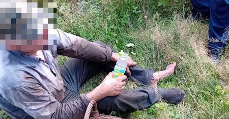 Koszmar na grzybach. 83-latka uratował telefon