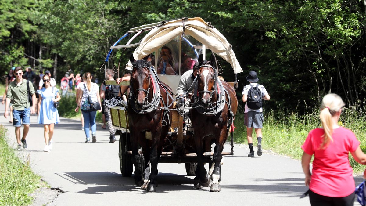 Coraz wyższe stają się ceny przejazdu dorożkami w stronę Morskiego Oka