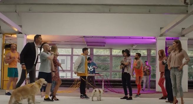 „Kto rządzi? Psy czy koty?” - Ibisz, Piróg, Dereszowski i Wardęga w spocie Pedigree i Whiskas (wideo)