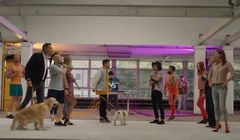 „Kto rządzi? Psy czy koty?” - Ibisz, Piróg, Dereszowski i Wardęga w spocie Pedigree i Whiskas (wideo)