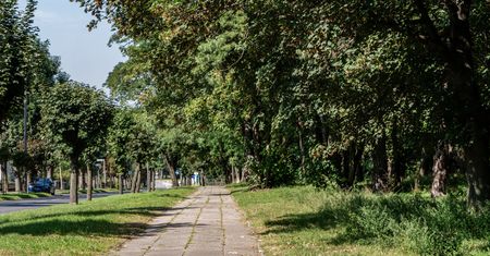 Ludzie nie mają pojęcia. Weterynarze zgodni: prawdziwa plaga