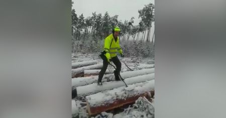 Las pełen skarbów. Leśnicy z Borów Tucholskich pokazali wideo