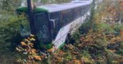 Dramat na drodze. Autobus z dziećmi zatrzymał się na drzewie