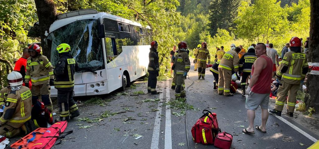 Autobus uderzył w drzewo. 14 osób rannych