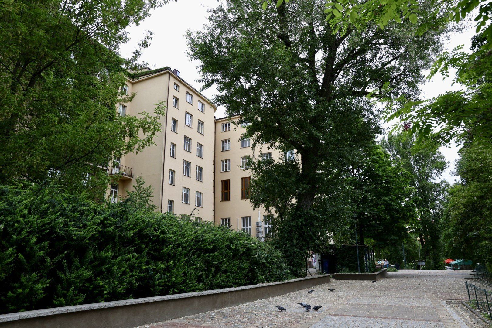 Przytulny zielony zakątek w sercu Warszawy wyremontowany