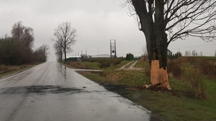 Renault uderzył w drzewo i zapalił się w Końskowoli