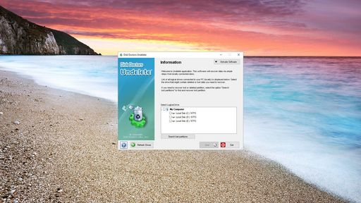 Disk Doctors Undelete