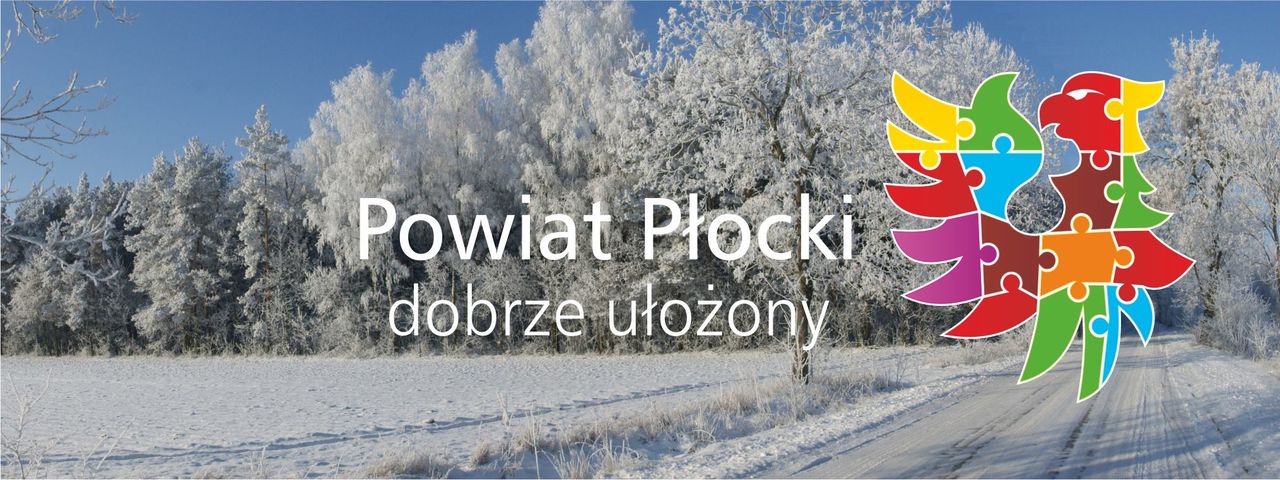 IX sesja Rady Powiatu w Płocku w kadencji 2024-2029