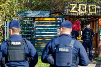 Kolejna awantura o zoo w Łącznej. Policja wydała oświadczenie