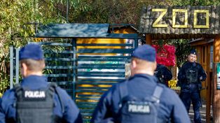 Kolejna awantura o zoo w Łącznej. Policja wydała oświadczenie