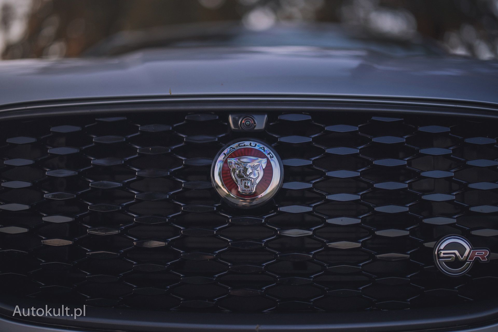 Jaguar F-Pace SVR (2022)