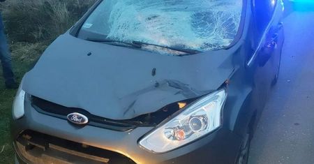 Nietypowy wypadek w Krakowie. 13-latka na koniu została potrącona przez samochód