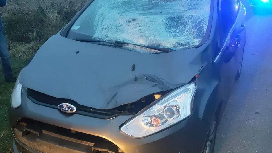 Kraków. 13-latka na koniu została potrącona przez samochód