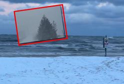 Tej nocy było nawet -14 st. C. Co dalej? Jest prognoza