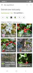 PlantNet
