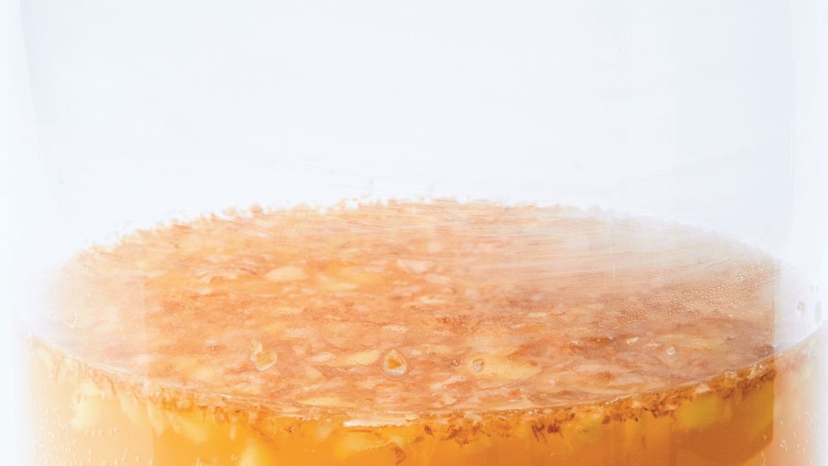 Zakwas imbirowy używany do fermentacji soków owocowych lub warzywnych