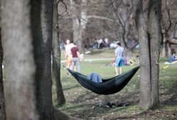 Pogoda. Wrocław. 12 kwietnia - wraca ochłodzenie. Będzie zimno i mokro