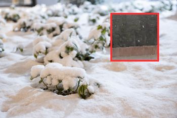 Sypnęło śniegiem na zachodzie Polski. Są zdjęcia
