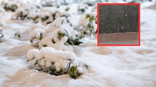 Sypnęło śniegiem na zachodzie Polski. Są zdjęcia