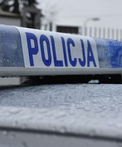 Chwile grozy w Poznaniu. Przedszkolaki oddaliły się od grupy