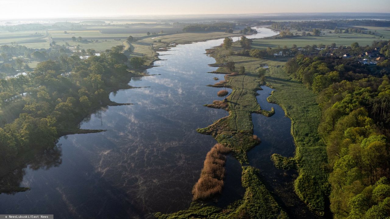 Hydrolog: Tego, że katastrofa na Odrze się powtórzy, możemy być niemal pewni