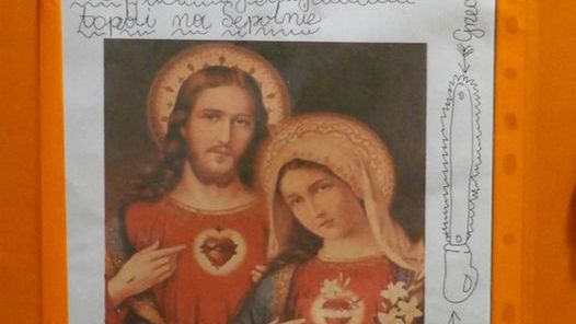 Wrocław. Święte topole. A jednak poszły pod piły