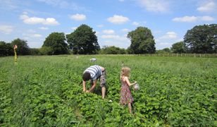 Mało kto wie. Masz długi? To ochroni cię przed egzekucją