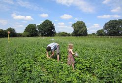 Mało kto wie. Masz długi? To ochroni cię przed egzekucją