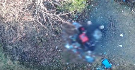Nastolatkowie robili to w krzakach. Przyłapał ich policyjny dron