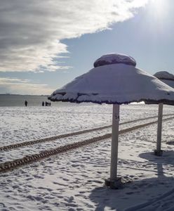 Niemcy z zazdrością patrzą nasze plaże. Presja ze strony Polski