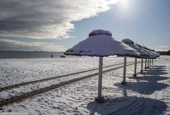 Niemcy z zazdrością patrzą nasze plaże. Presja ze strony Polski