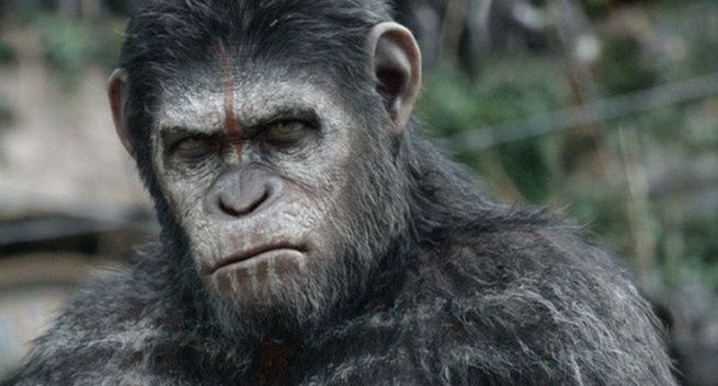 Pięć filmów w nowej serii "Planety małp"