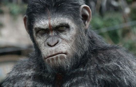 Pięć filmów w nowej serii "Planety małp"