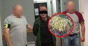 Zastosował w lesie patent z mchem. "Spryciarz" w rękach policji