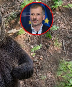 Niedźwiedzie z Cisnej. Wiceminister zdecydował o ich losie